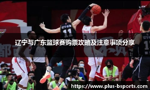 辽宁与广东篮球赛购票攻略及注意事项分享